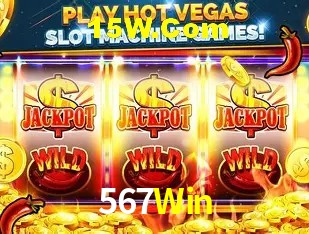 Sistemas de Segurança 567Win