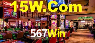 Premium Interface 567Win